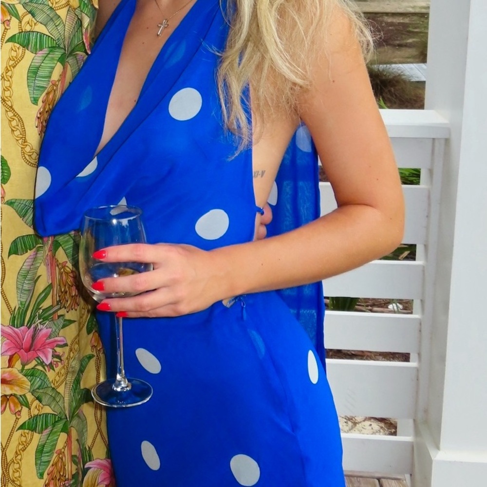 Zara Blue and White Polka Dot Dress